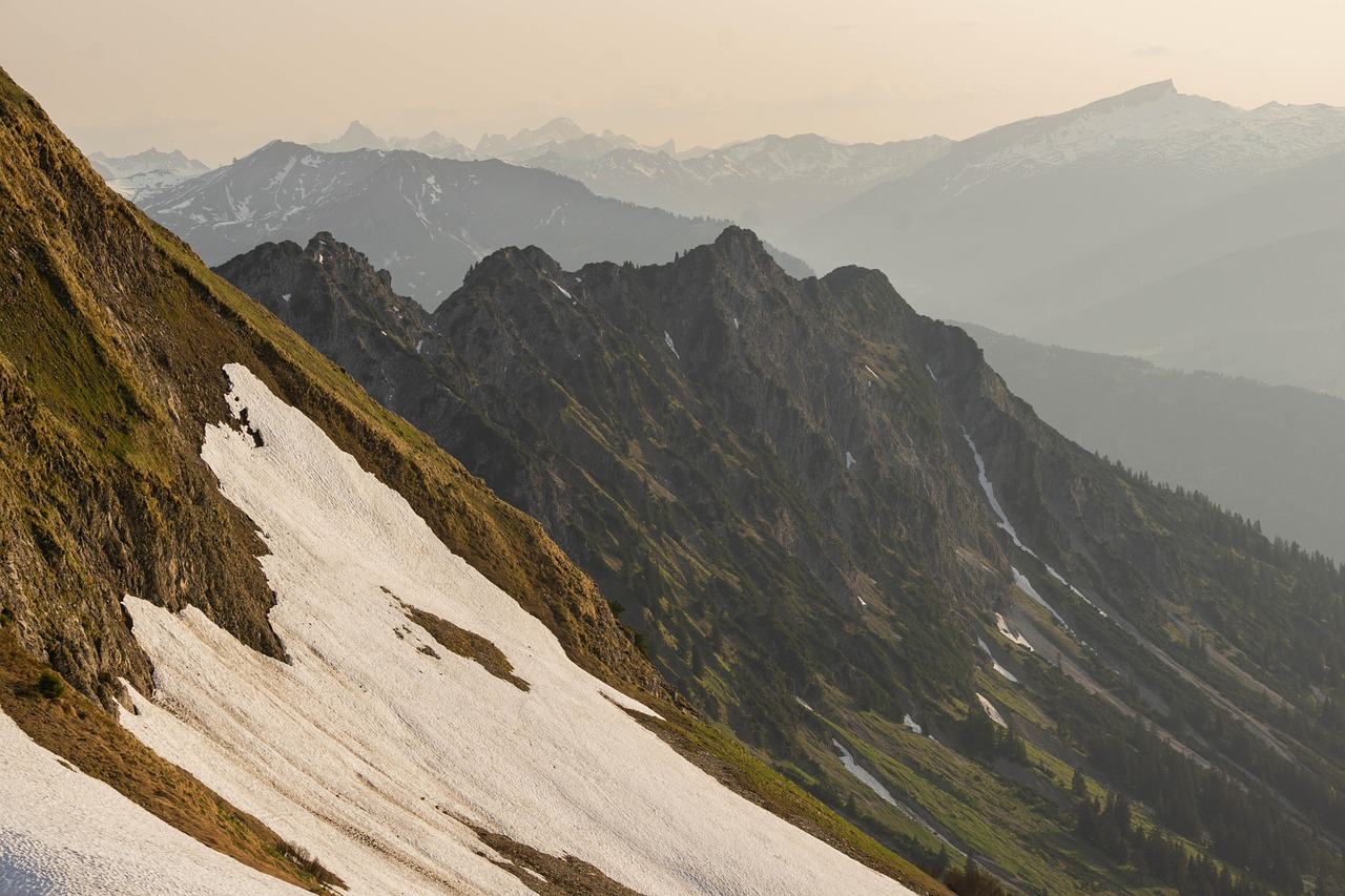 木盒红沉香(细):好看直播app详情下载教程