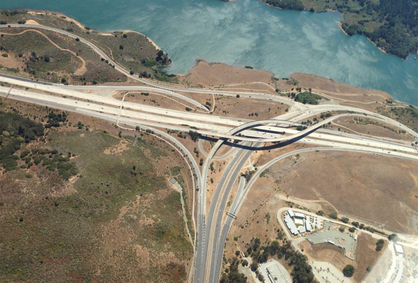 拼多多实名账号：鲜花购买实惠平台