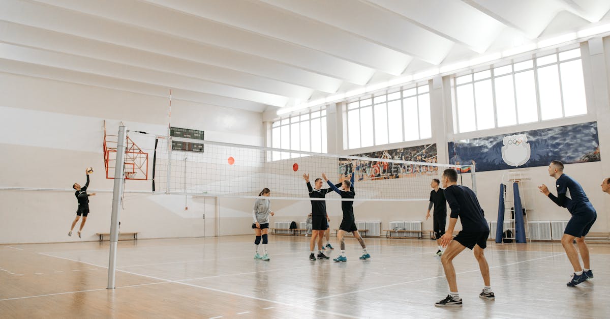 Peel百乐橙子爆珠：app 详情下载教程统计