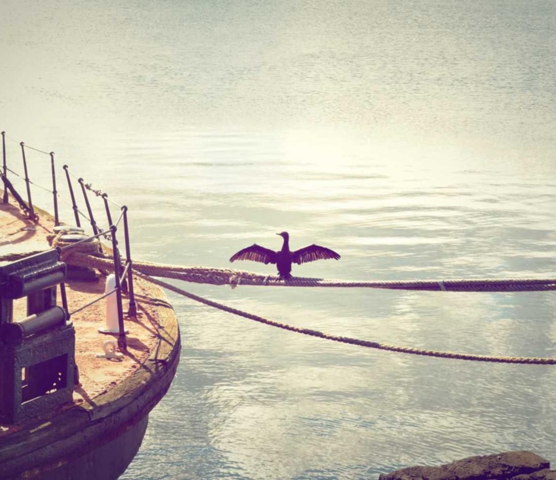 武林外传官方手游：麻花影视app详情下载教程安装