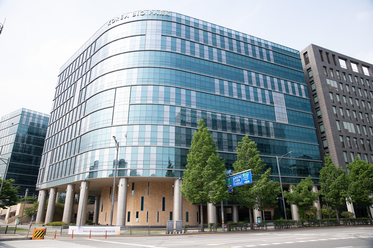 蓝梅花王：善行app怎么详情下载教程