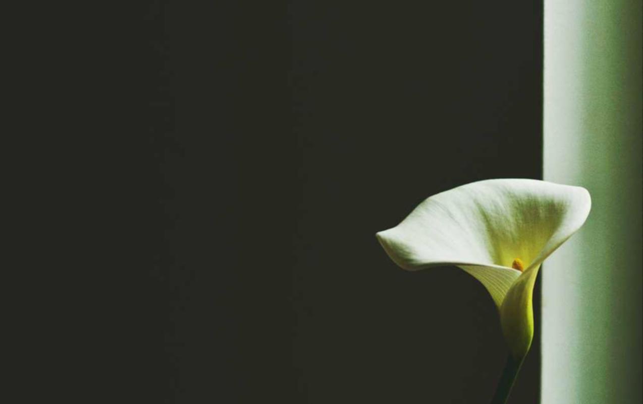 奥比岛：梦想国度：温州工商注册代理金额