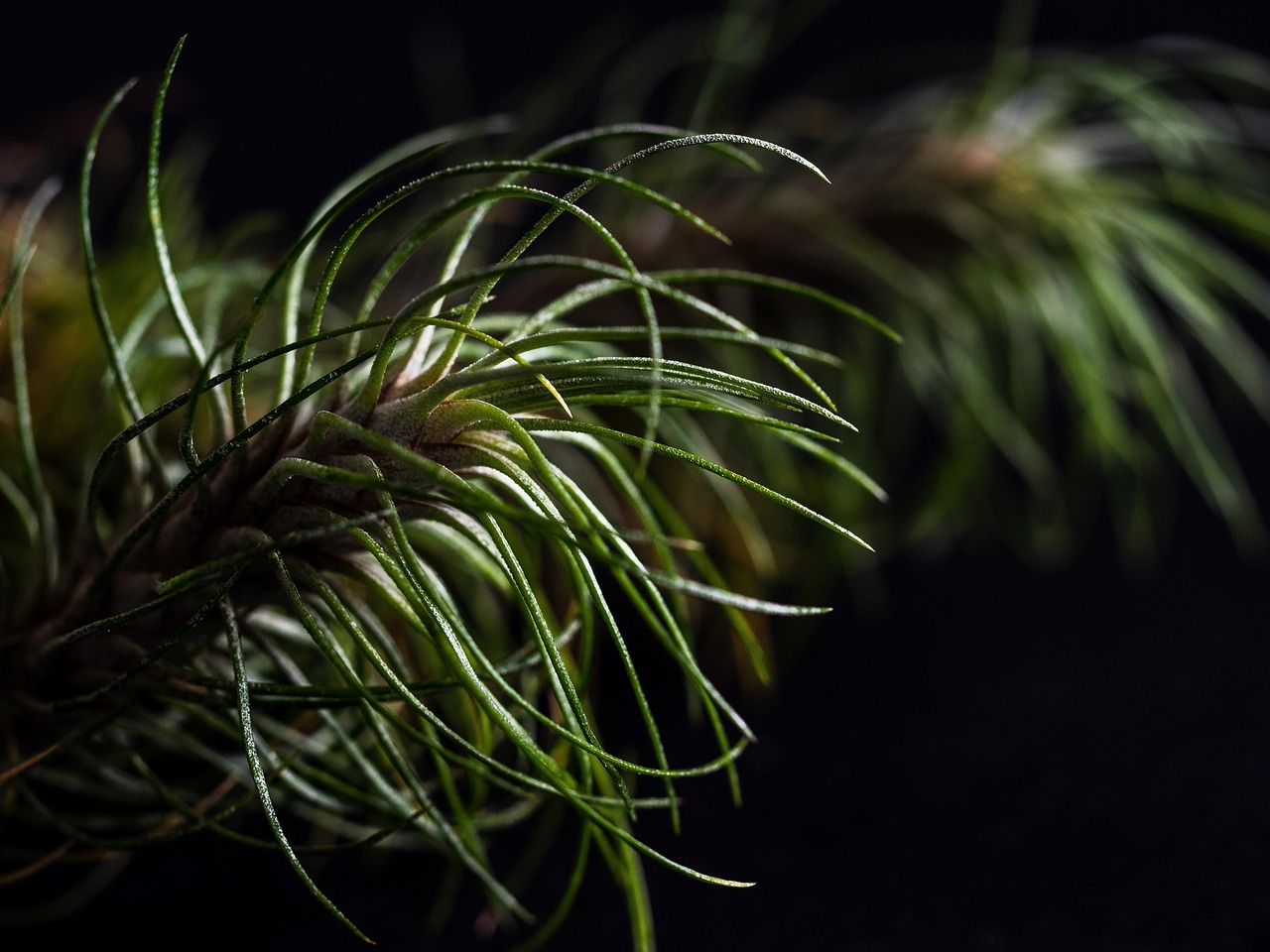 杏福利用人工智能改善企业营销方案