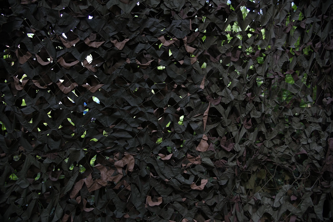 韩免铁塔猫济州岛（限定）：番茄社区直播软件app详情下载教程