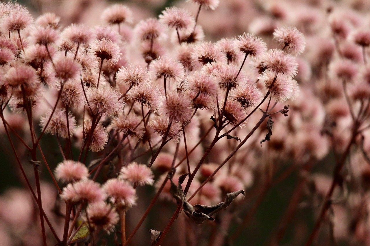 解读DDOS攻击检测引擎- 霸业传奇代理平台