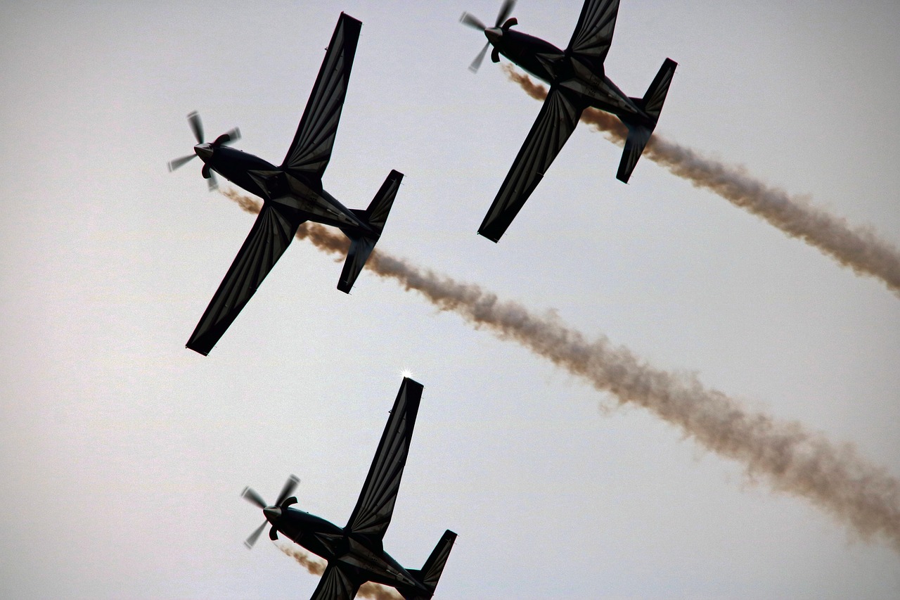 梦幻西游手游辅助- 镇江宠物购买平台