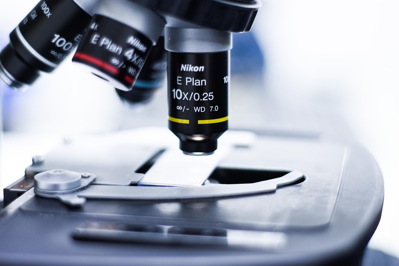 天翼云实名账号：福建名人书画交易平台代理