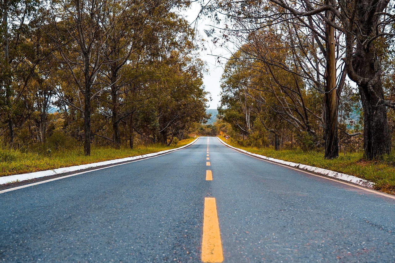 战争怒吼：详情下载教程app送现金